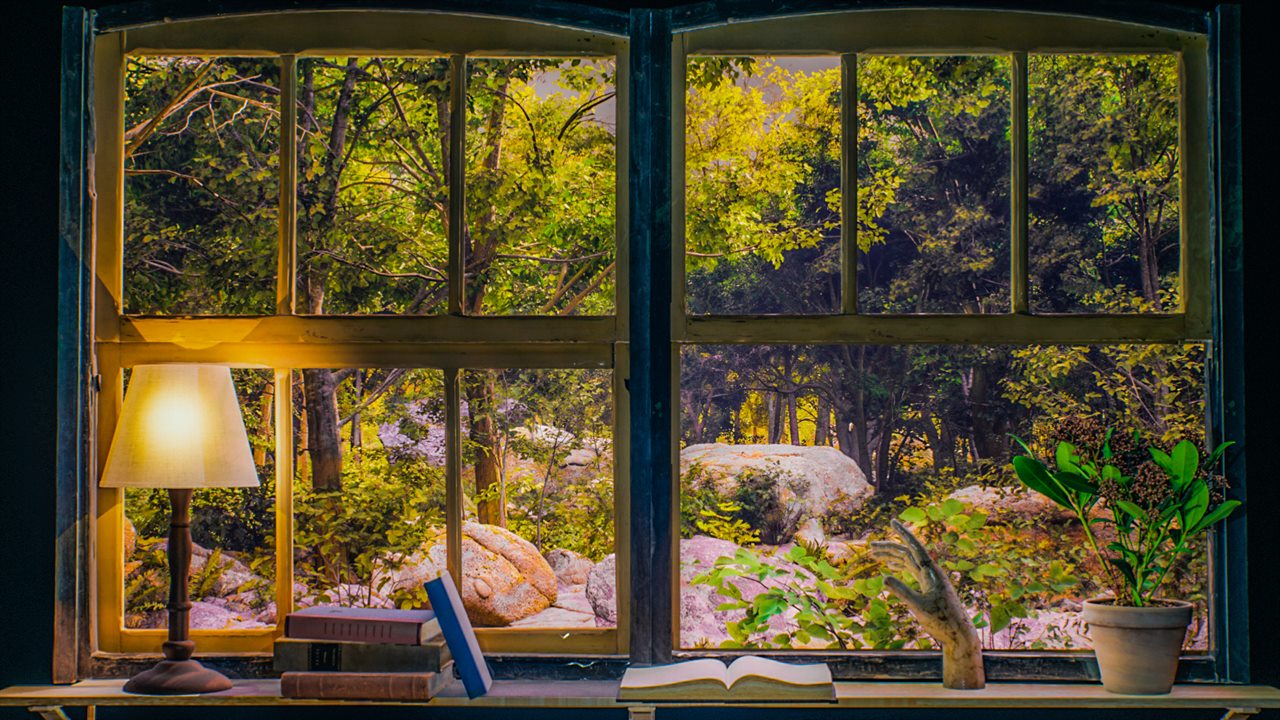 Forest Window Ambience with Birds & Thunder thumbnail